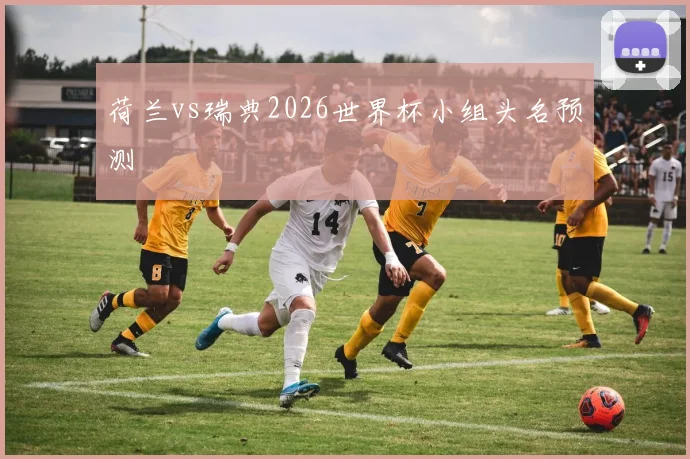 荷兰vs瑞典2026世界杯小组头名预测