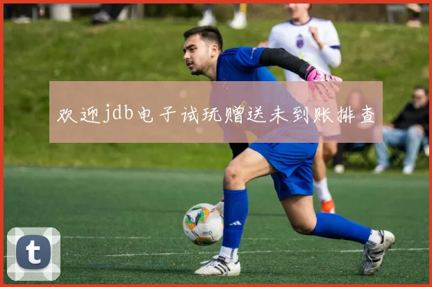 欢迎jdb电子试玩赠送未到账排查