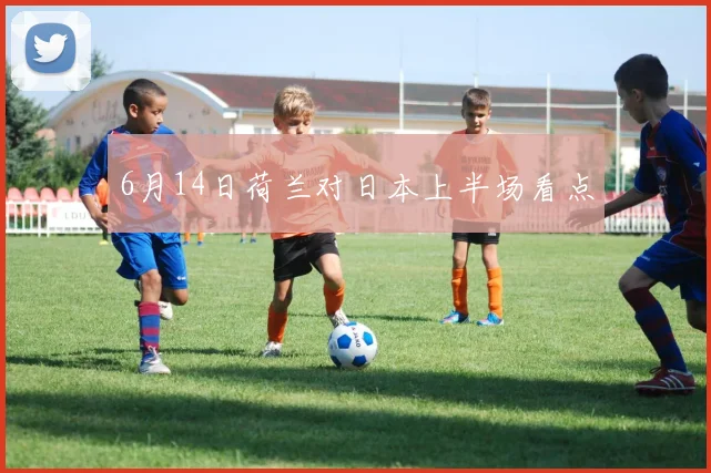 6月14日荷兰对日本上半场看点