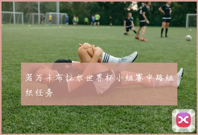 若万卡布拉尔世界杯小组赛中路组织任务