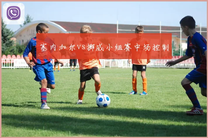 塞内加尔vs挪威小组赛中场控制
