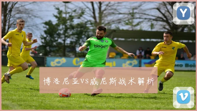 博洛尼亚vs威尼斯战术解析